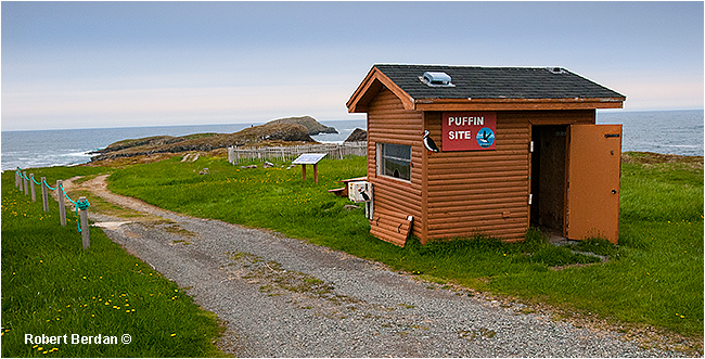 Cabin and entrance to Bird Island Elliston, Newfoundland by Robert Berdan ©
