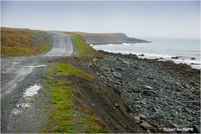 Road to Cape Spear through Mistaken Point Ecological resrve by Robert Berdan ©