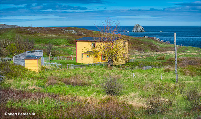 Perry's Cove Newfoundland by Robert Berdan ©
