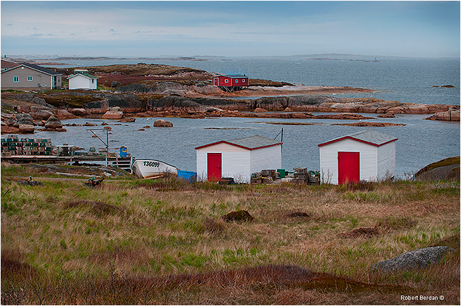 Newtown Newfoundland by Robert Berdan ©