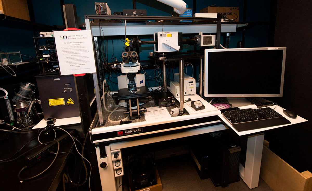 microscope set up at the Live Cell imaging facility at University of Calgary Health Science Center by Robert Berdan ©