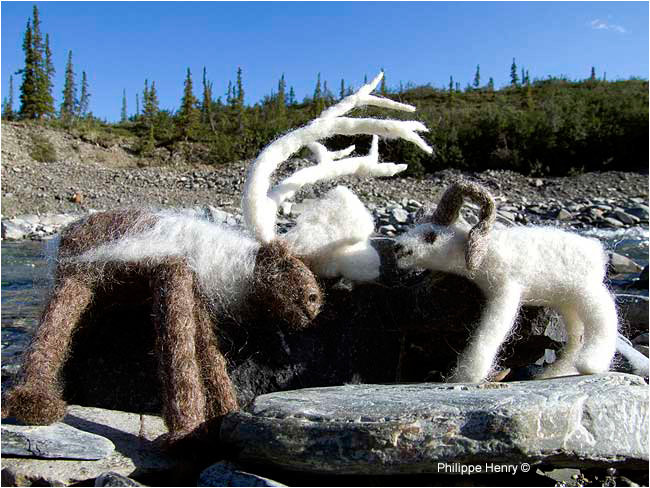 Dall sheep and caribou made by Inuvik textile artist Carolyn Hunter by Philippe Henry ©