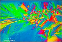 Citric acid crystals under polarized light 400X by Robert Berdan