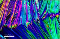 Vitamin C crystals by polarized microscopy 100X by Robert Berdan 