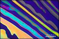 Lanthanum crystal polarized light microscopy 50X by Robert Berdan