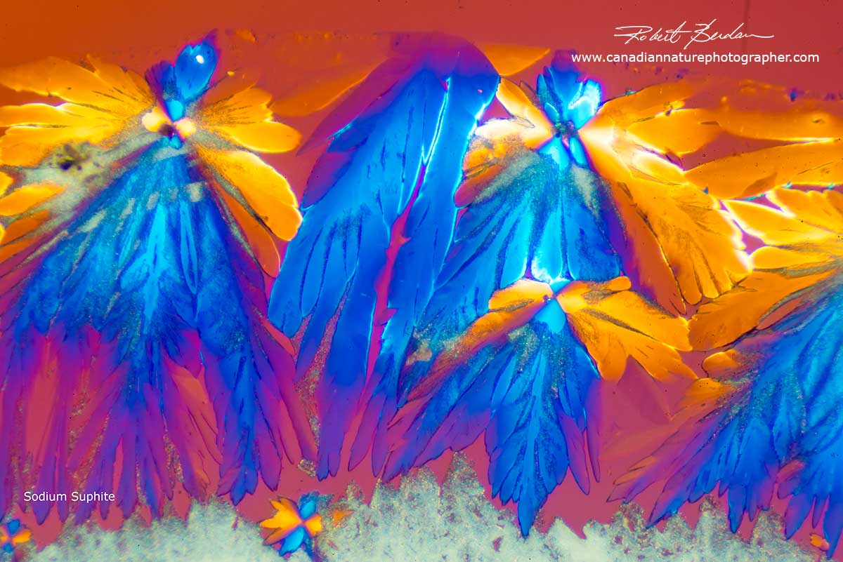 Sodium Sulphite Crystals - Abstract by Robert Berdan ©