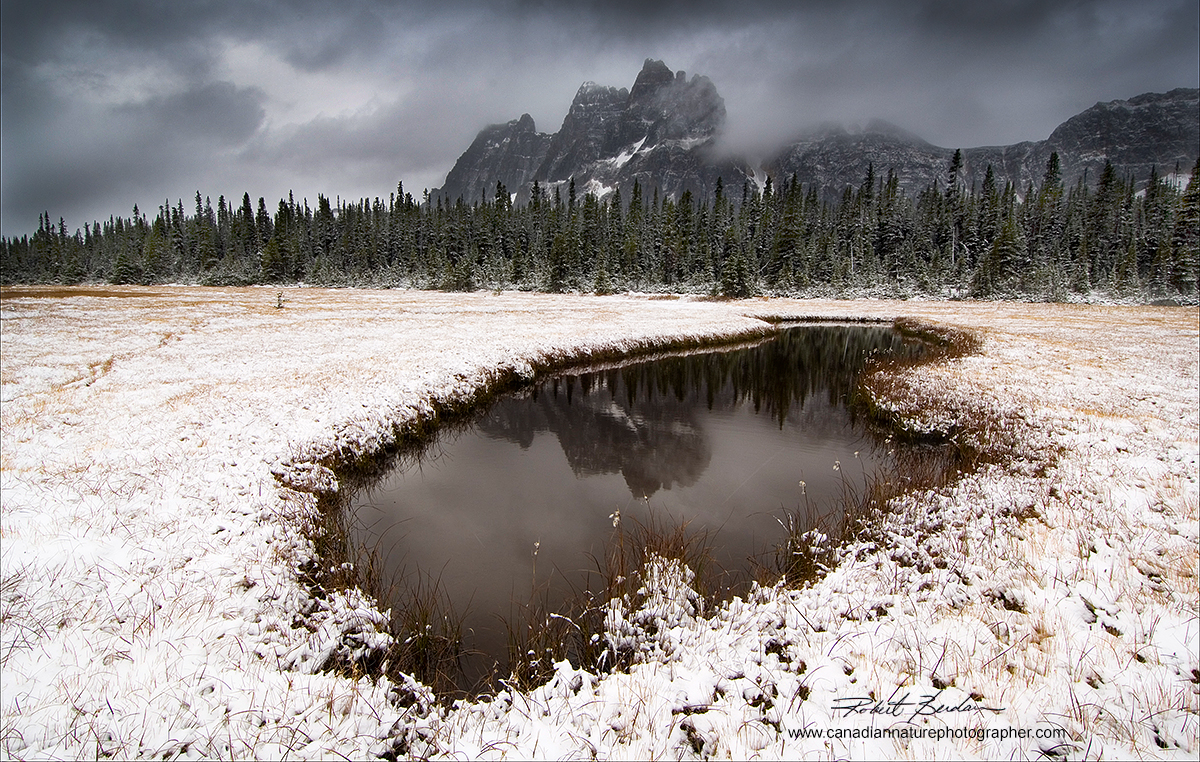 Pond after fresh snow, Tonquin Valley, Jasper National Park, Alberta Robert Berdan ©