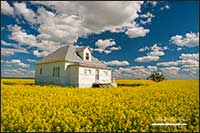 Prairies near Leader Saskatchewan by Robert Berdan
