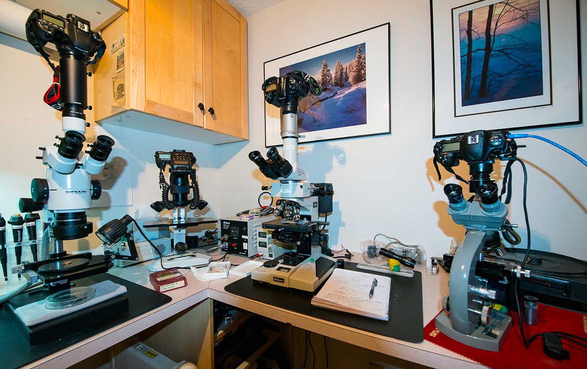 Home microscopy lab by Robert Berdan ©