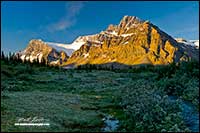Bow Glacier Banff National Park, Alberta by Robert Berdan