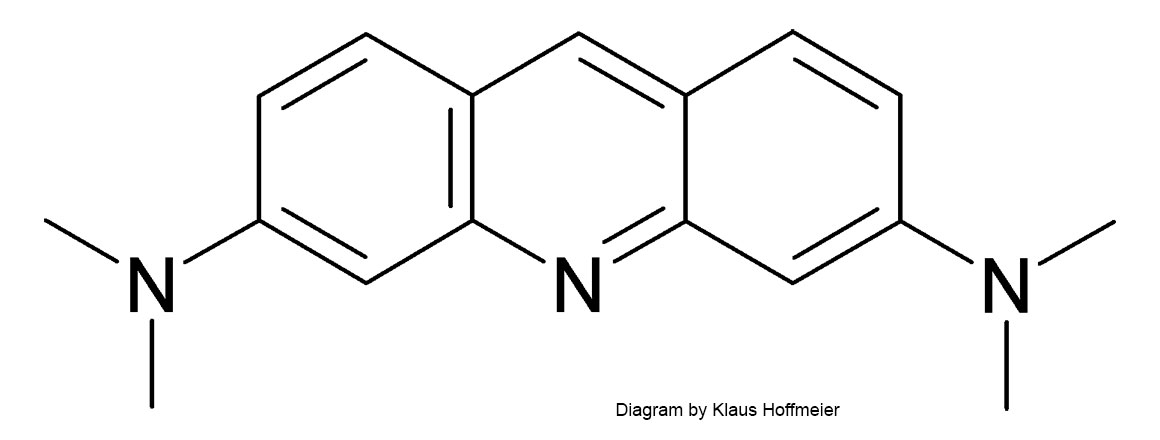 Acridine orange molecule diagrame