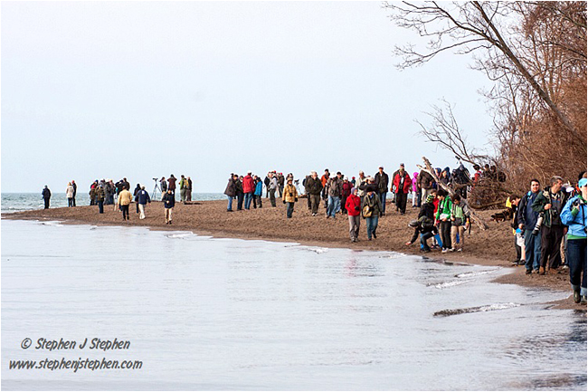 Birders gather at Point Peele by Stephen Stephen &copy;