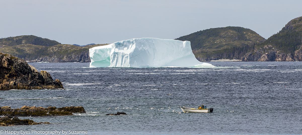 Iceberg Twillingatge Newfoundland by Suzzane Roberts ©