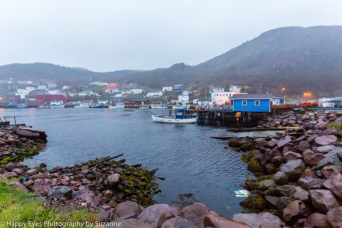 Petty Harbour by Suzanne Roberts ©