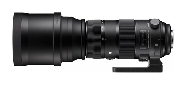 Sigma 150-500 mm lens