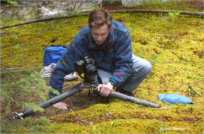 Photographer and Gitzo 410 tripod being used for macrophotography by Robert Berdan ©
