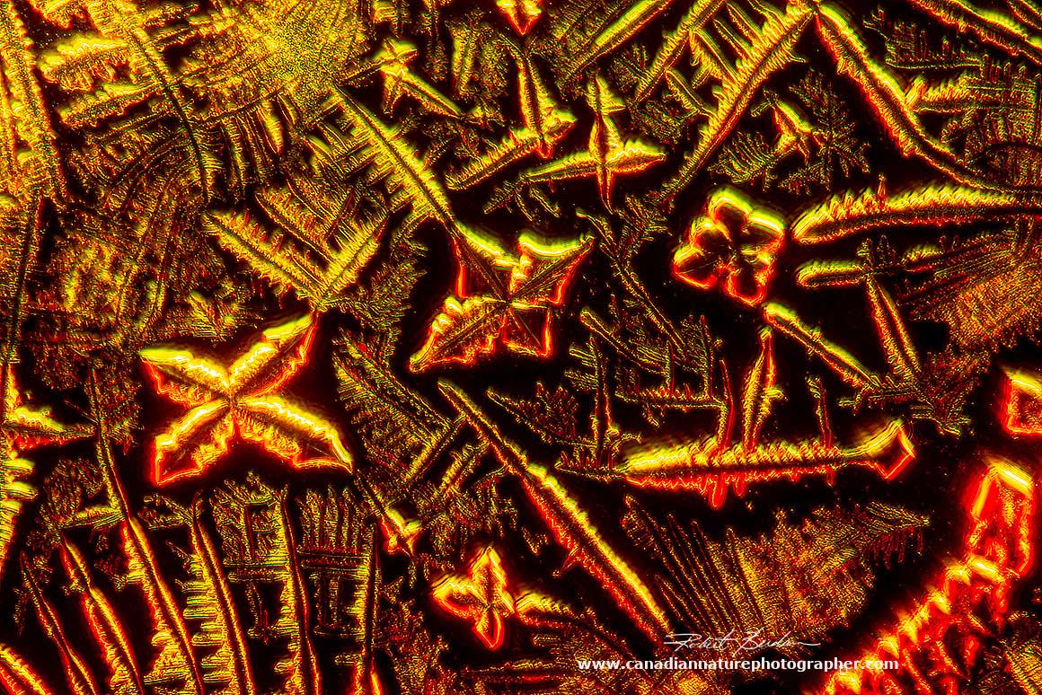 Salt crystals dried from a solution of Vitamin B12. Darkfield microscopy 400X by Robert Berdan ©