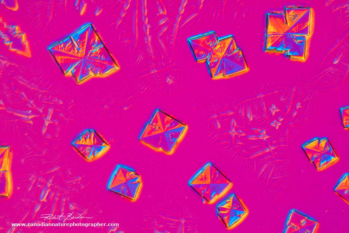 Crystals of sodium chloride formed in a Vitamin B12 by Robert Berdan ©