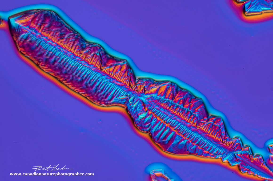Vitamin B12 crystal by Differential Interference Contrast (DIC) microscopy 400X by Robert Berdan ©