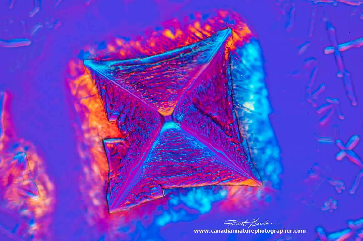 Sodium chloride crystal from Vitamin B12 solution viewed by DIC microscopy 400X by Robert Berdan ©