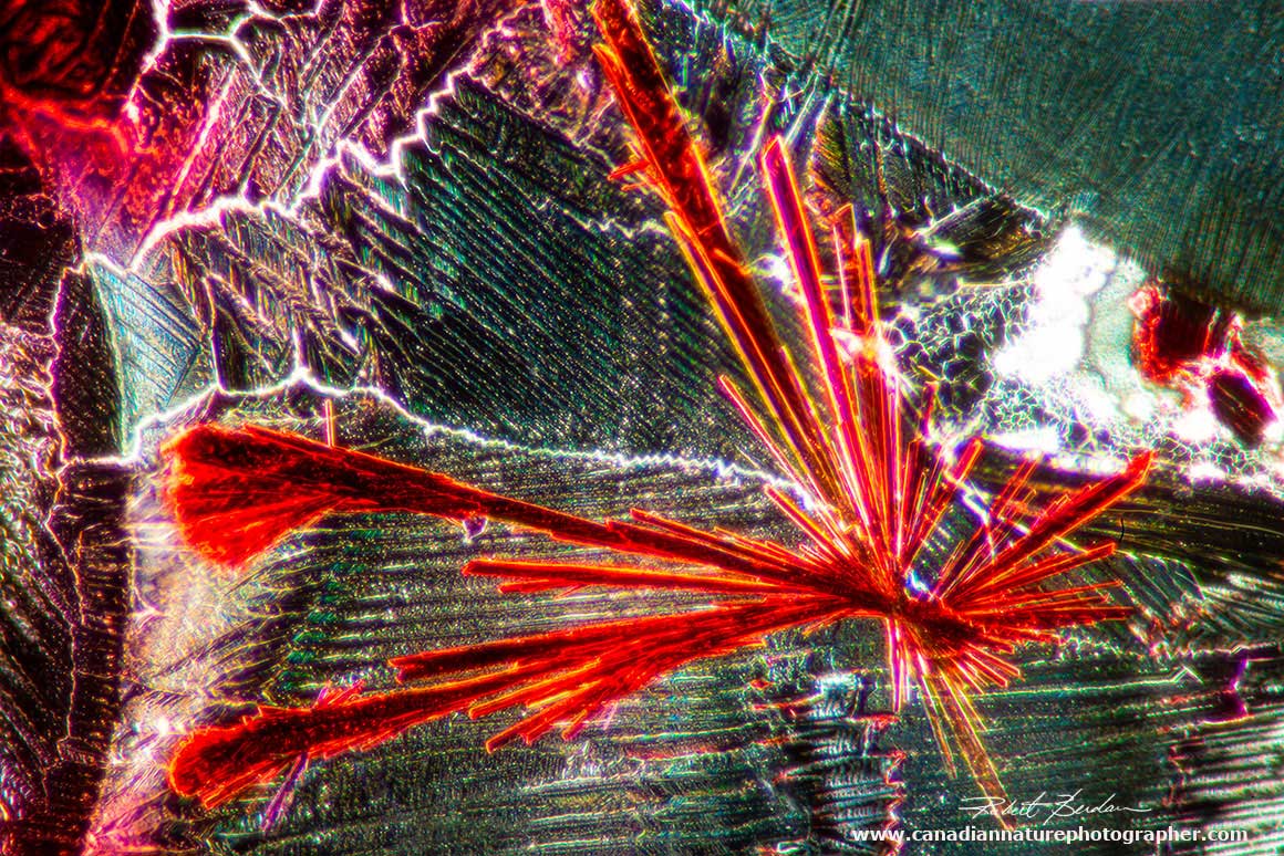 Vitamin B12 crystal that was star shapped had some long needle-like crystals bu Robert Berdan ©