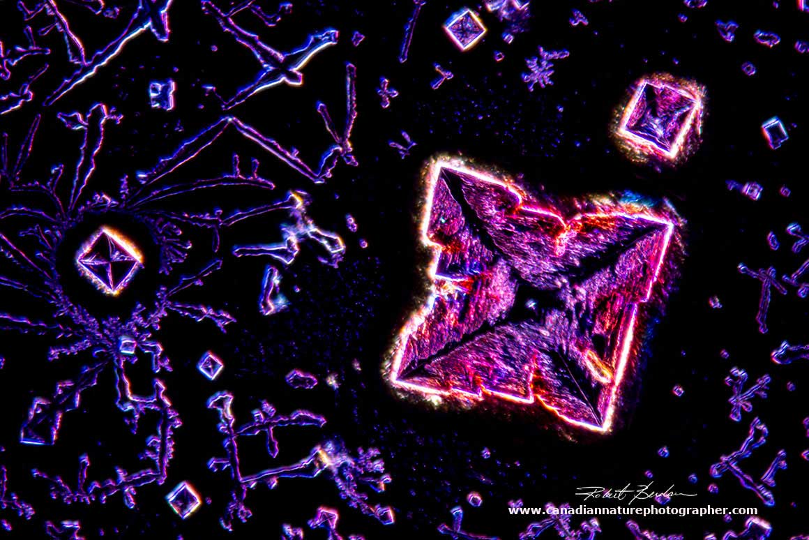 Sodium chlloride crystal from Vitamin B12 solution by DIC and Dark-field microscopy 400X by Robert Berdan ©