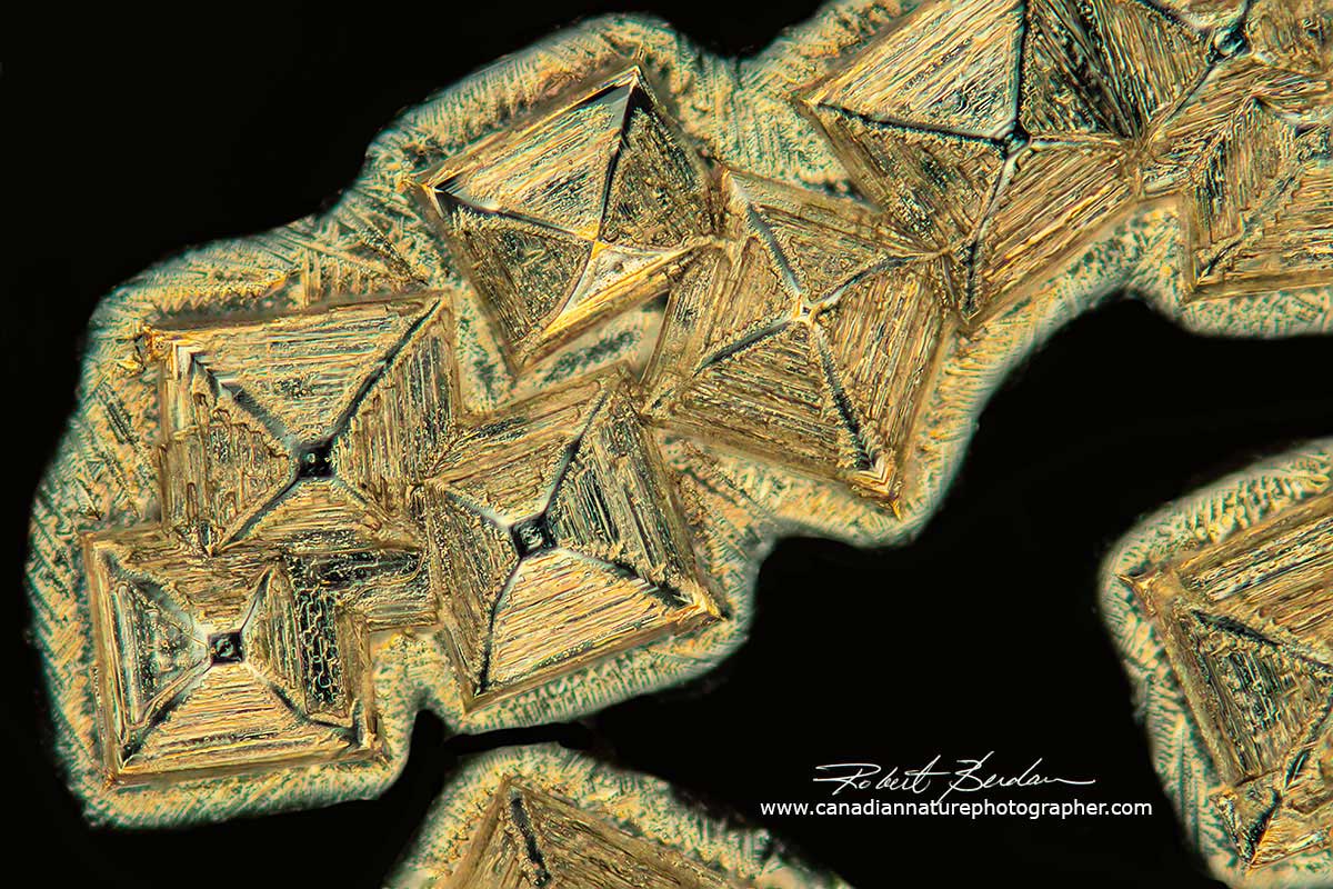 Sodium chloride crystals in water by polarized light microscopy by Robert Berdan ©