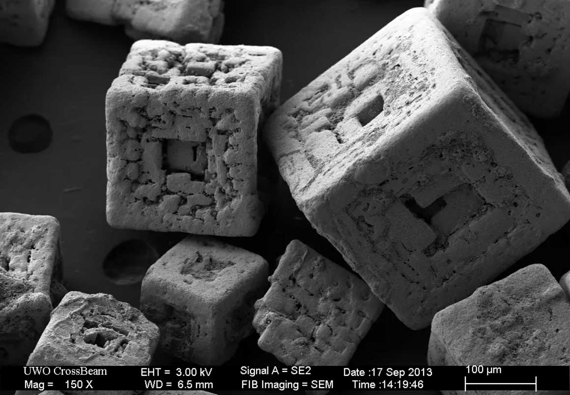 scanning electron micrograph of salt crystals