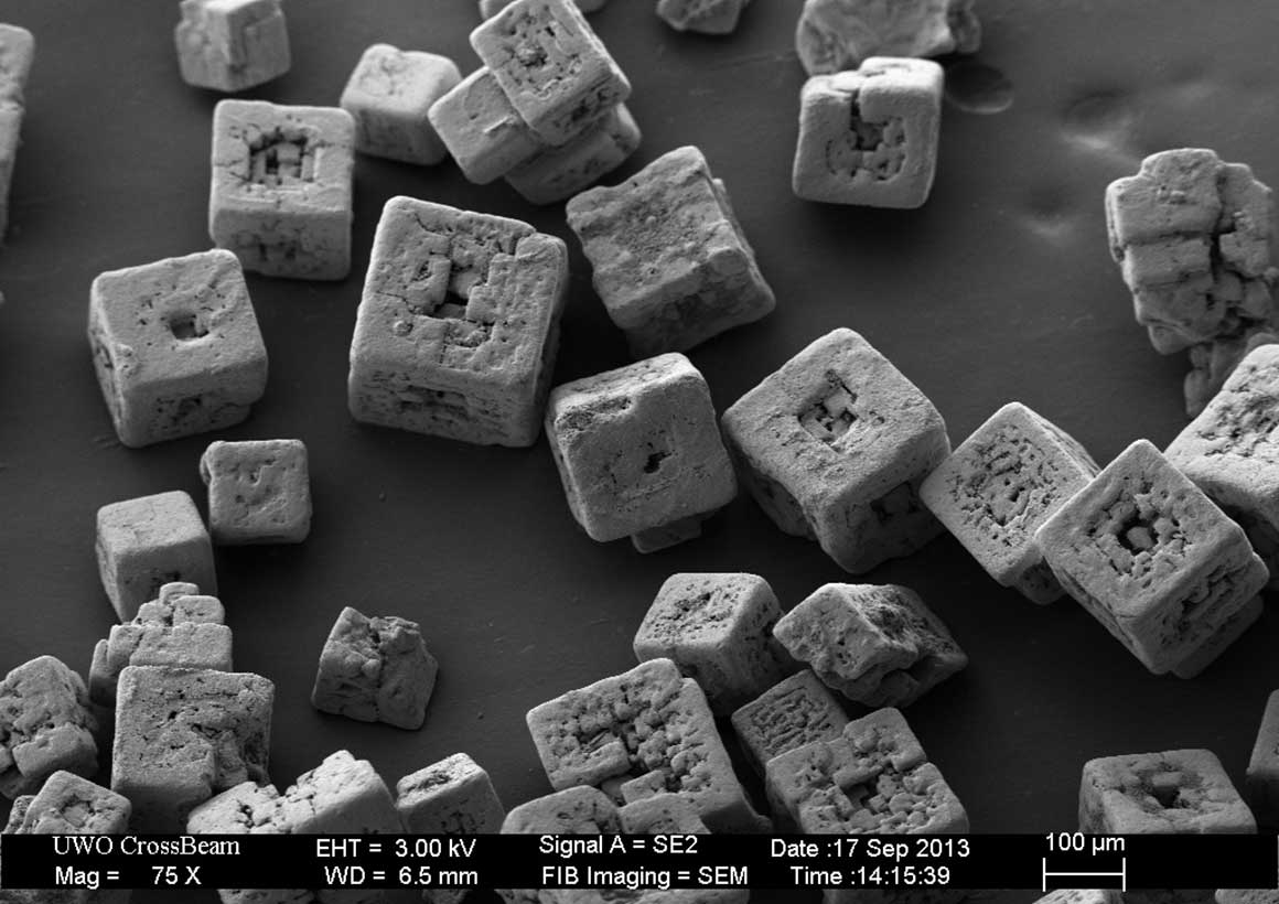 Table salt used on French Fries, scanning electron micrograph