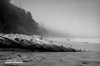 Long Beach near Tofino Vancouver Island British Columbia by Robert Berdan