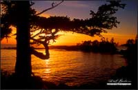Sunset Wild Pacific Trail Uclulet Vancouver Island British Columbia by Robert Berdan 
