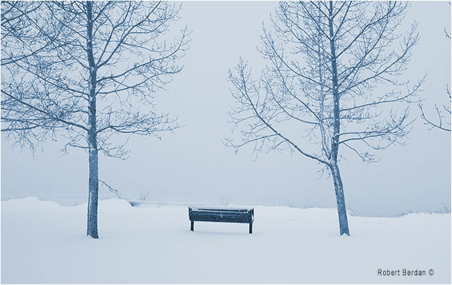 Waiting for spring a park bench in Fish Creek Park by Robert Berdan ©