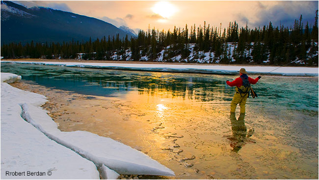 Frank Wood fly-fishing on the Athabasca river in winter Jasper National Park by Robert Berdan ©