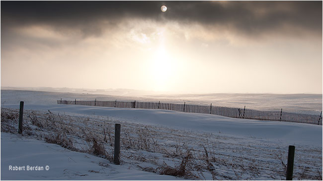 Winter fence by Robert Berdan ©